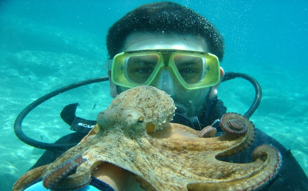 Bodrum Dalış Turu / 2026