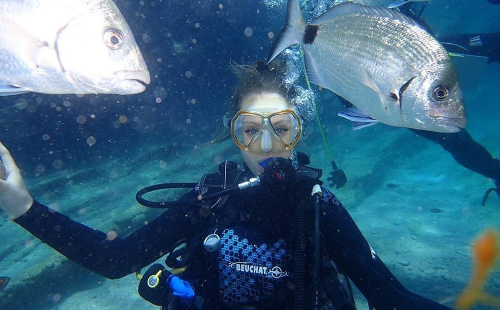 Bodrum Dalış Turu / 2026