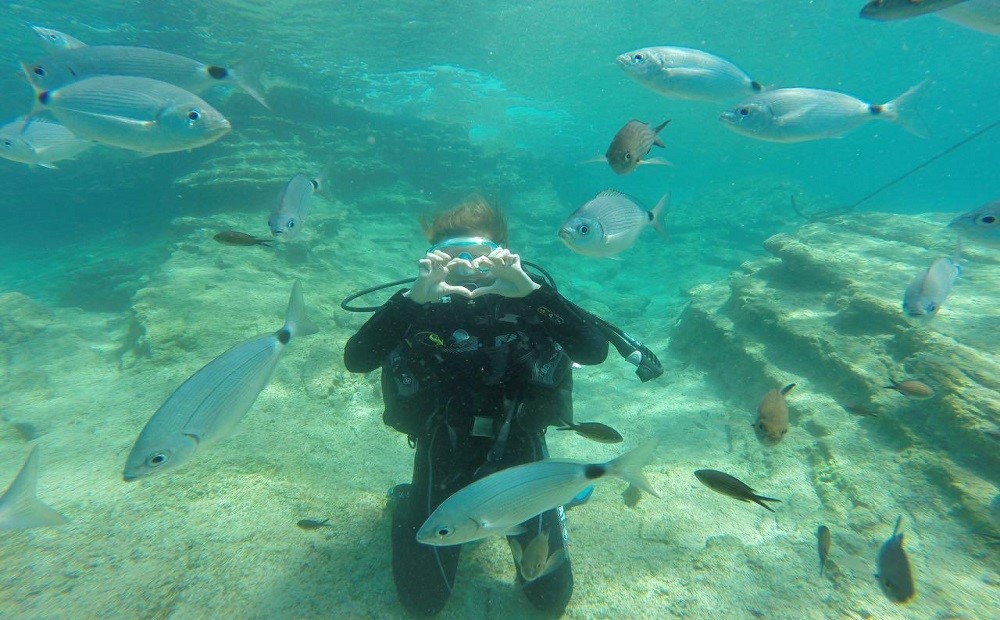 Bodrum Dalış Turu / 2026